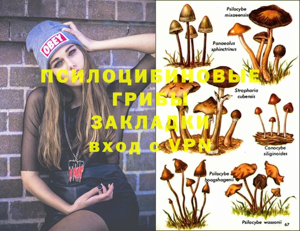 мефедрон Алексеевка
