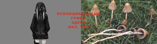 шишки Алексин