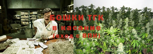 шишки Алексин