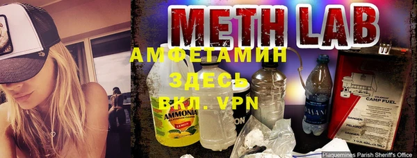 шишки Алексин