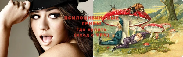 твердый Алзамай