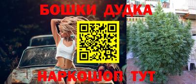 гидра Гусиноозёрск