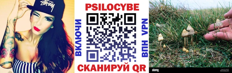 как найти наркотики Новоалтайск Псилоцибиновые грибы Magic Shrooms