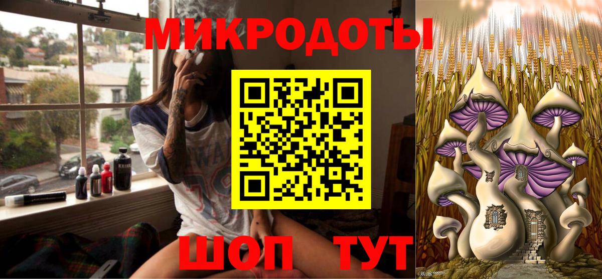 Псилоцибиновые грибы Psilocybe  Галлюциногенные грибы GOLDEN TEACHER  Новоалтайск  Вход с VPN 